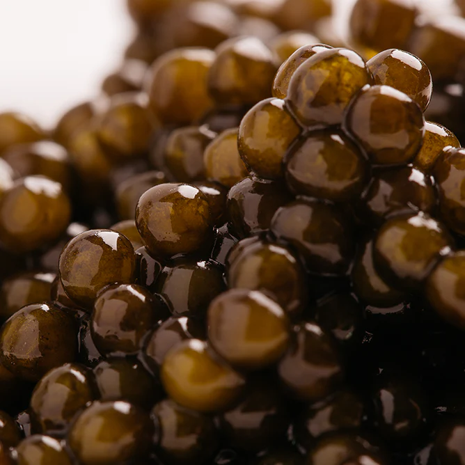 Party-Sized Caviar: 1680g Tin - Image 4