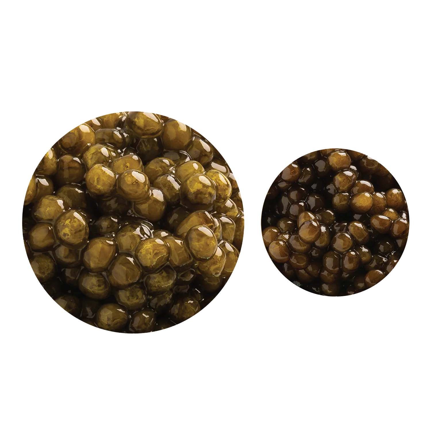 Royal Ossetra & Sevruga Bundle - Image 3